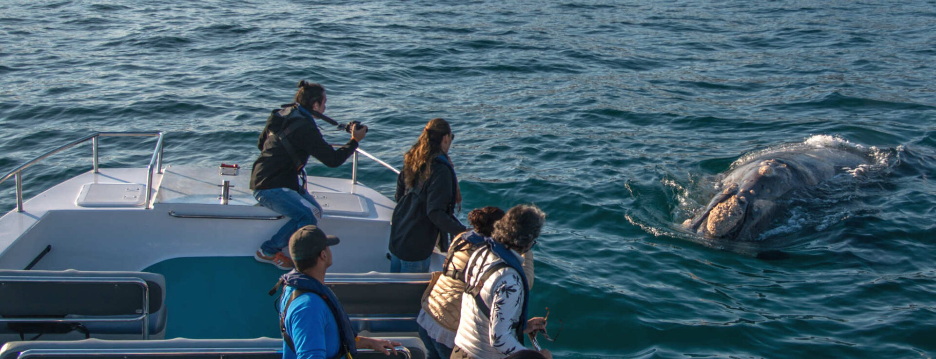 Ocean Odyssey Knysna