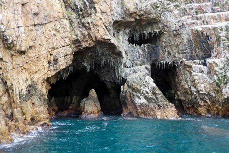 Marine Eco Tour