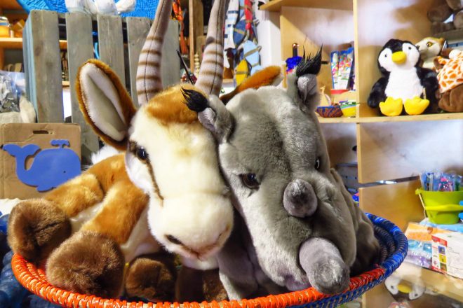 Ocean Journey Gift Shop