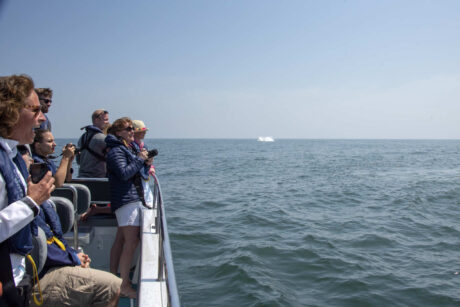 Close Encounter Whale Watching