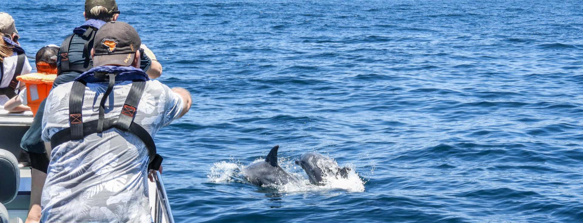 Marine Eco Tour